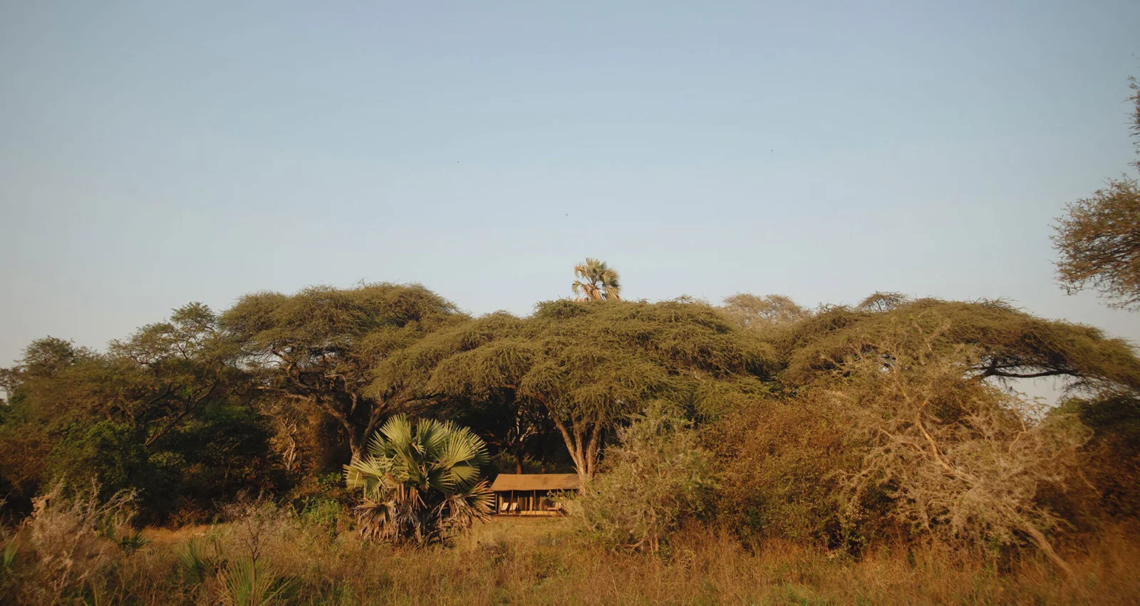 Chada Katavi safari bush camp tent surrounded by trees
