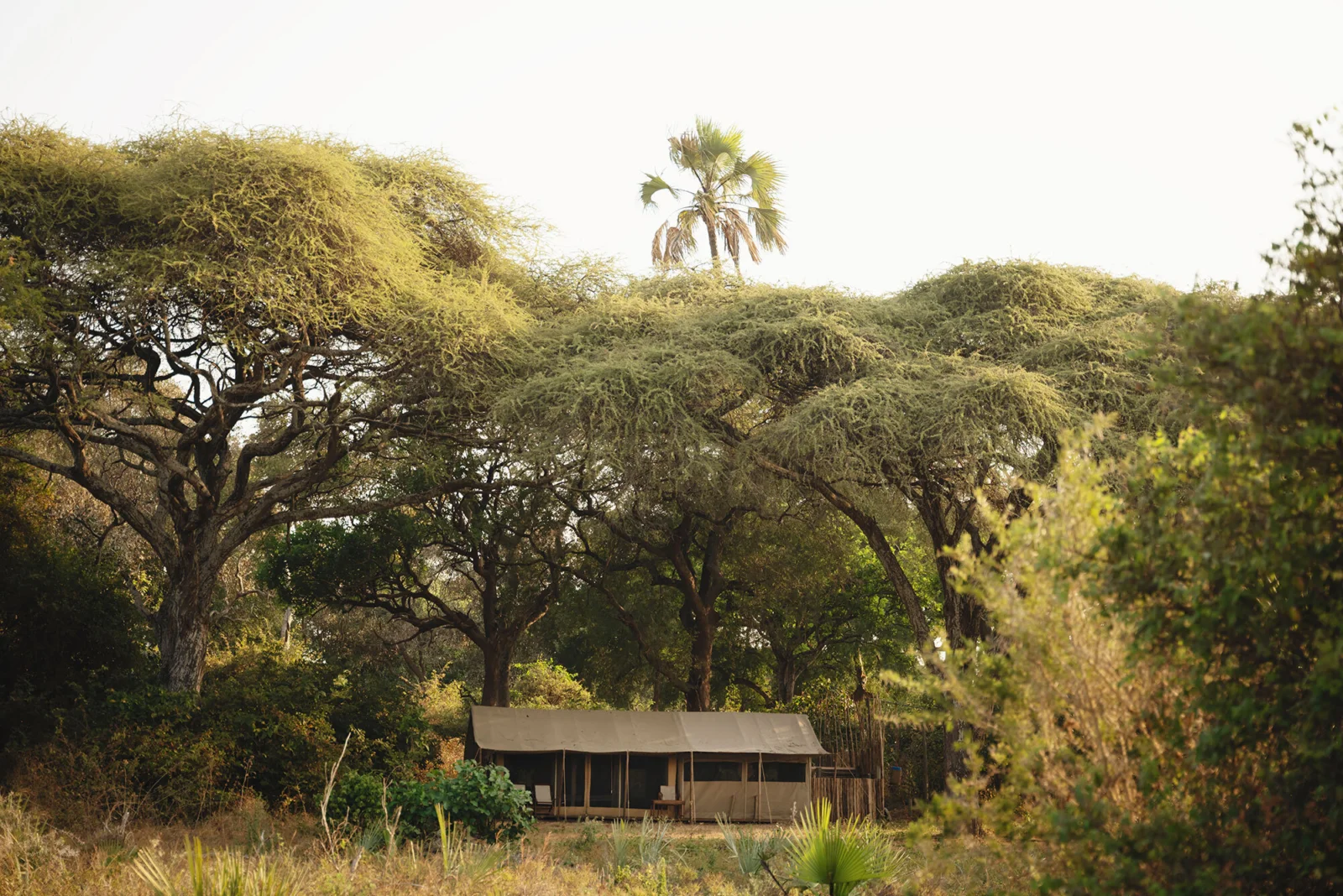 Chada Katavi, wilderness safari adventure tented accommodation