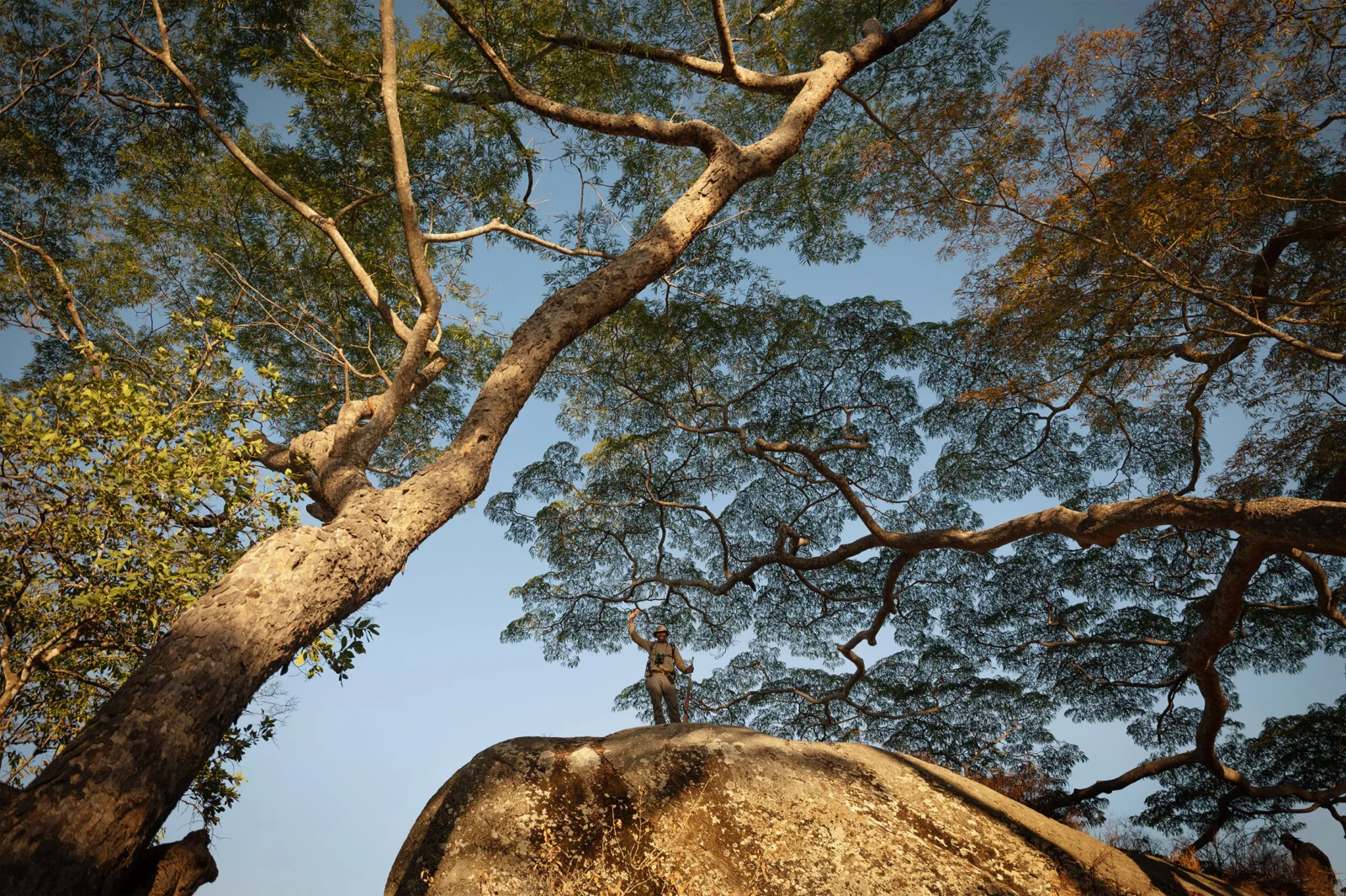 Charlie Ugalla, safari guide up on the rocks