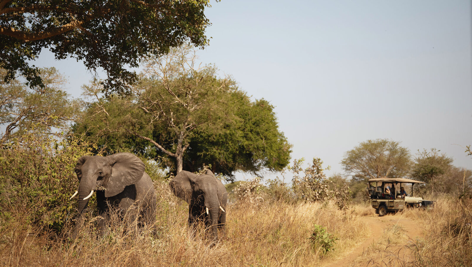 Chada Katavi, bush safari adventure elephants wildlife
