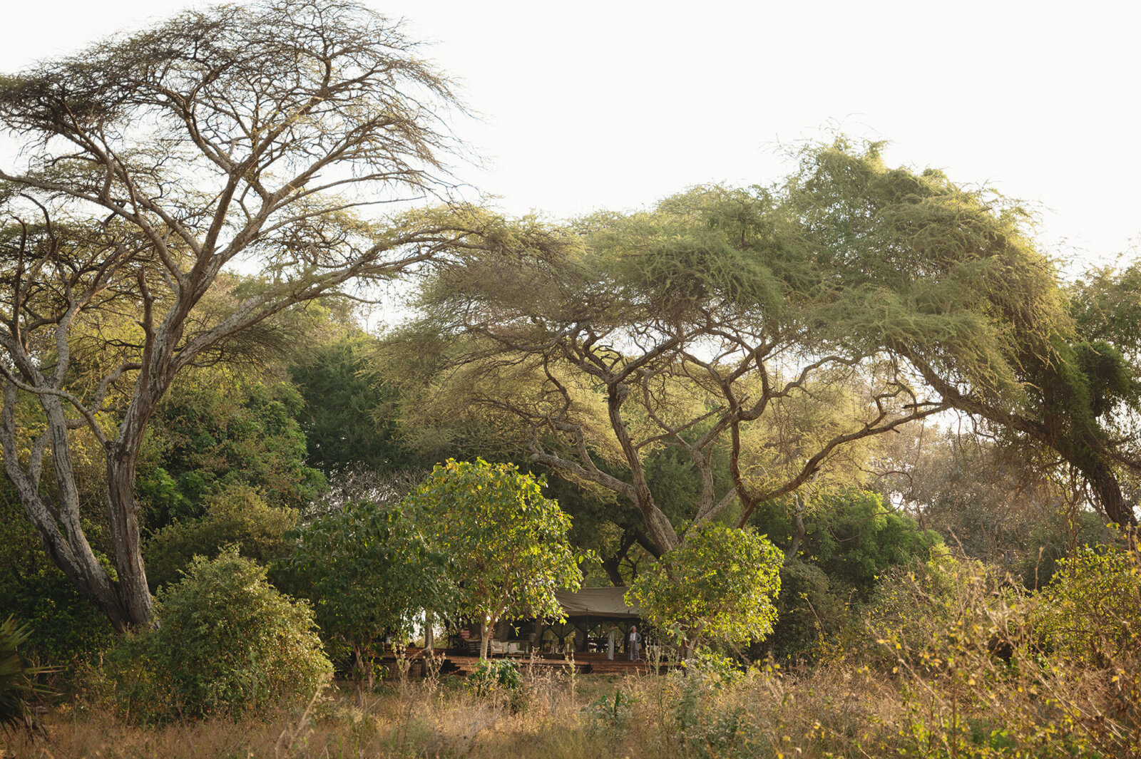 Chada Katavi, bush safari mess