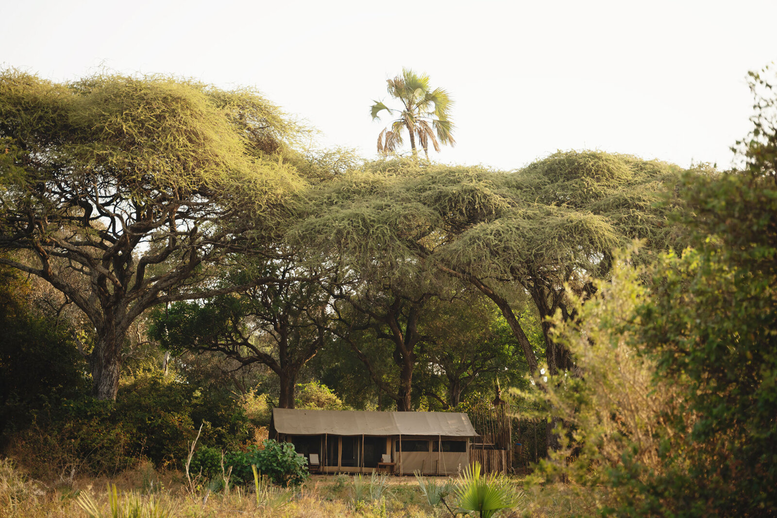 Chada Katavi, wilderness safari adventure tented accommodation