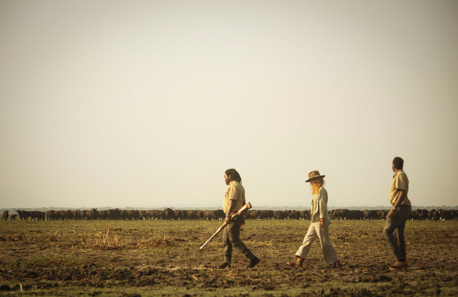 Chada katavi walking safari buffalo