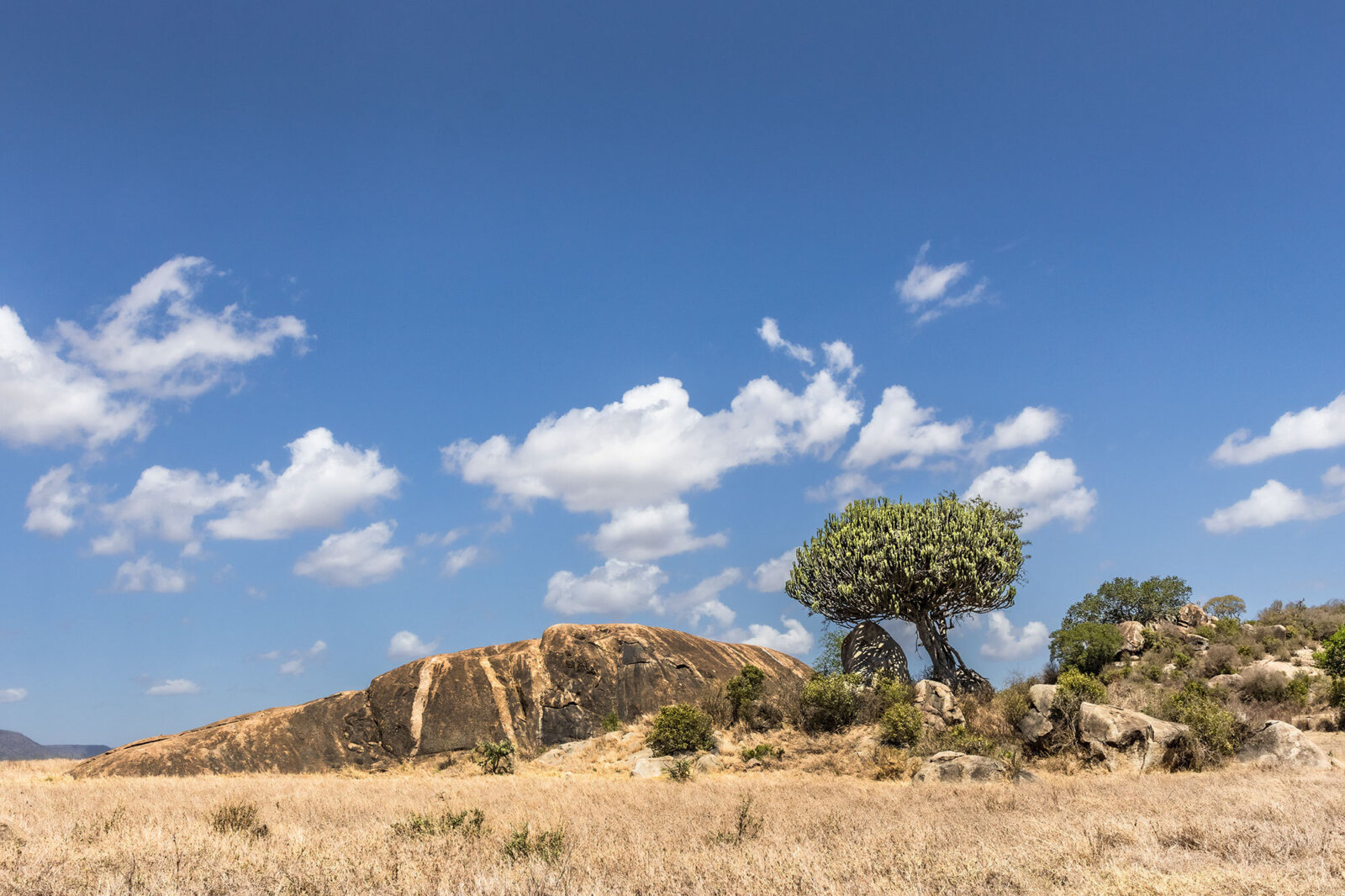 Kusini serengeti kopje sky